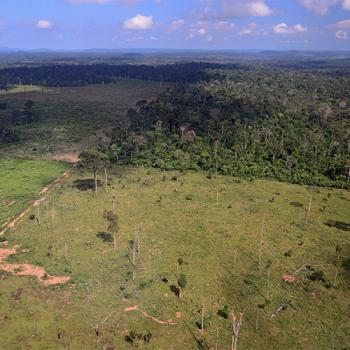 Deforestation in Brazil