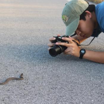 Justin Lee taking a photo of a snake